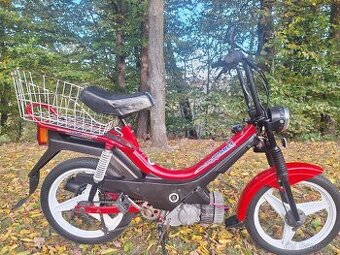 Manet korado v pěkném stavu