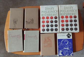 David Copperfield, Malá Dorritka, Okouzlení duše...