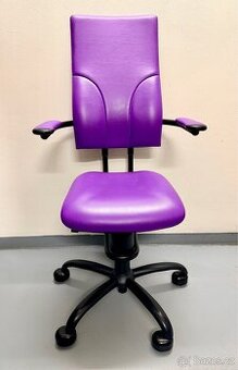 zdravotní kancelářská židle Spinalis Apollo