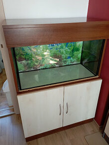 Akvárium s příslušenstvím
