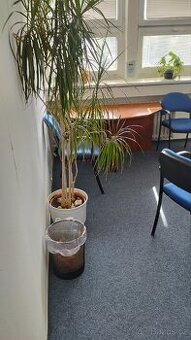 Pronájem kanceláře v blízkosti centra Zlína