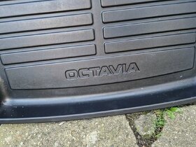 Vana Octavia 3 - 1