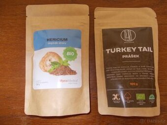 Medicinální houby - 1