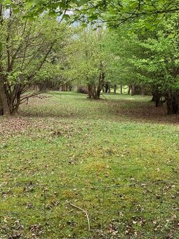 Prodej stavebního pozemku + zahrady = 5 110 m², Vyškov – Lho