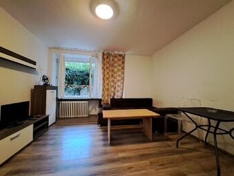 Pronájem 1+kk-zvýšené přízemí 33m2, okno do zahrady. Šilingr