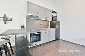 Pronájem bytu 1+kk, Opuštěná, Trnitá, 17000 Kč/měs, 35 m2