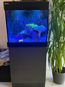KOMPLETNÍ MOŘSKÉ AKVÁRIUM RED SEA – STABILNÍ REEF SYSTÉM
