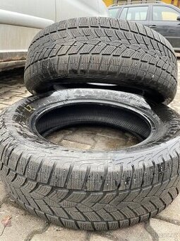 225/65R17 Goodyear 2x