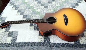 Donner Dae-41 (Elektroakustická Kytara)