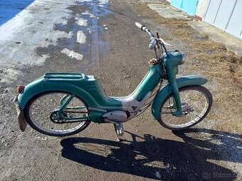 Jawetta 551 - Standard