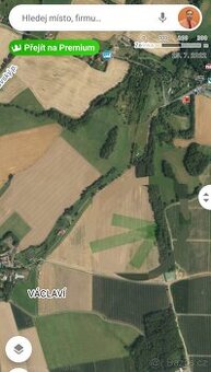 Les na maringotku Český ráj