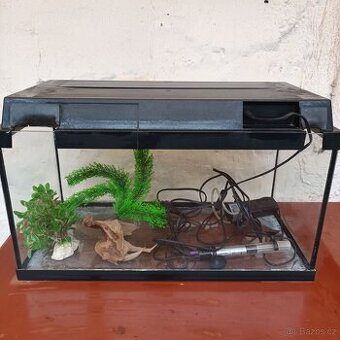 Akvarium
