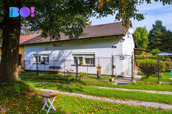 Dětmarovice, prodej rodinného domu s pozemky 18 800 m²