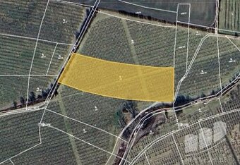 Prodej podílu 1/2 sadu / vinice 3 704 m², Liběšice - Soběnic