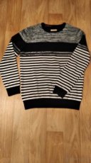 Pánský svetr Jitex