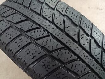 195/65 R15 EVERGREEN (2818) - 1