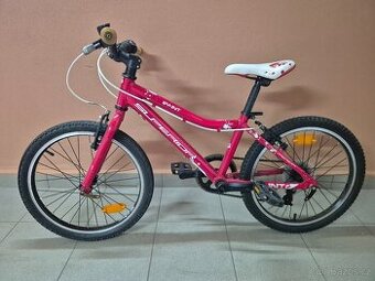 Dětské kolo Superior Paint 20,