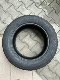 Zimní pneu Nokian Tyres 205/60 R16