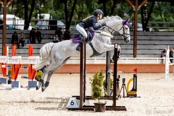 Summer: 2.a 5. celkové místo v AJT (90/100cm) ročníku 2024