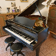 Koncertní křídlo August Förster