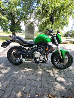 Benelli BN302 rv. 2019 28kW