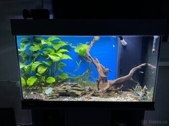 Prodám kompletní akvárium Juwel