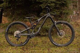 Specialized Stumpjumper EVO 29 2022