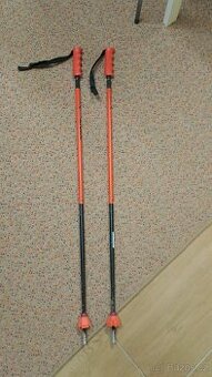 Lyžařské hůlky 100 cm