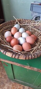 Prodám domácí vajíčka