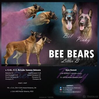 Belgický ovčák Malinois s PP