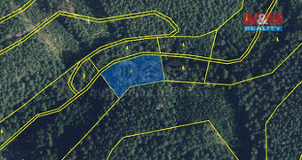 Prodej lesa, 5021 m², Proseč