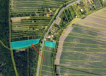 Pronájem (možný i prodej na splátky) 4.215 m2 Jestřabice