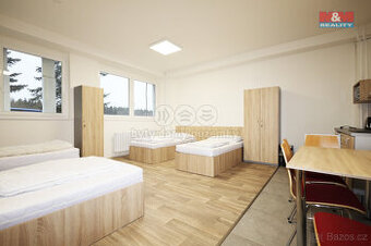Pronájem ubytovacího zařízení, 300 m², Dalovice, Botanická
