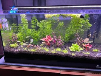 Akvárium Diversa akvarijní set Startup 60 černý 54l LED