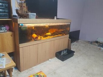 Akvarium