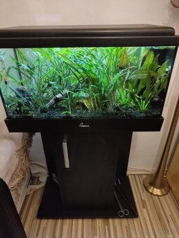 Akvárium Aquatlantis 60l akvarijní set se skříňkou Diversa