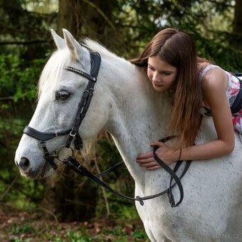 líbivá pony A učitelka