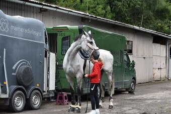 Prodej závodní stáje z důvodu ZDRAVÍ