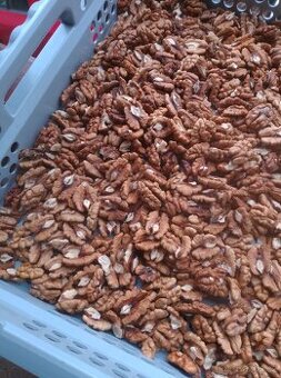 Prodám letošní loupané vlašské ořechy