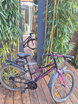 Dětské kolo Specialized Hotrock 24