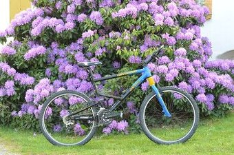 Cannondale JEKYLL 500