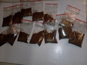 Semena tabáku virginského bio kvality