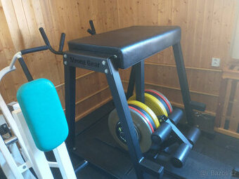 Reverzní Hyperextense. Zesílení a rehabilitace spodních zad