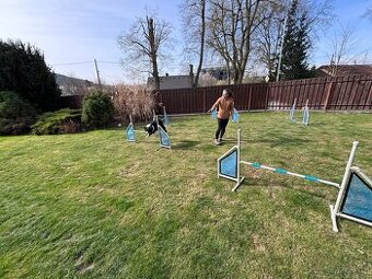 Agility skočky