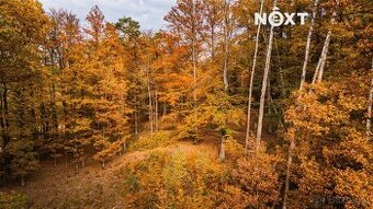 Prodej pozemek Lesy, 13718㎡