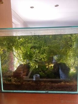 Akvarium