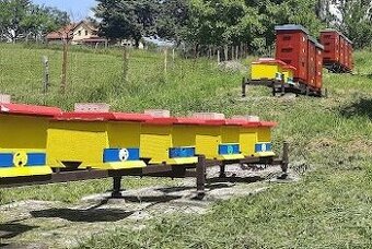 VČELÍ ODDĚLKY 2025
