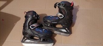 Lední rostoucí brusle