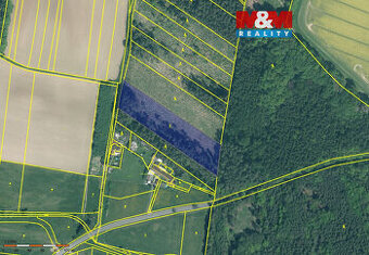 Prodej lesa, 7675 m², Stehlovice