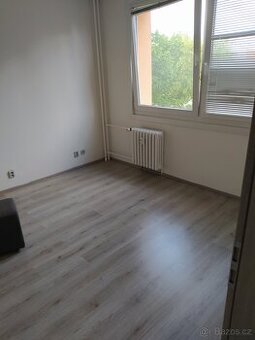 Pronájem bytu 1kk Dubina